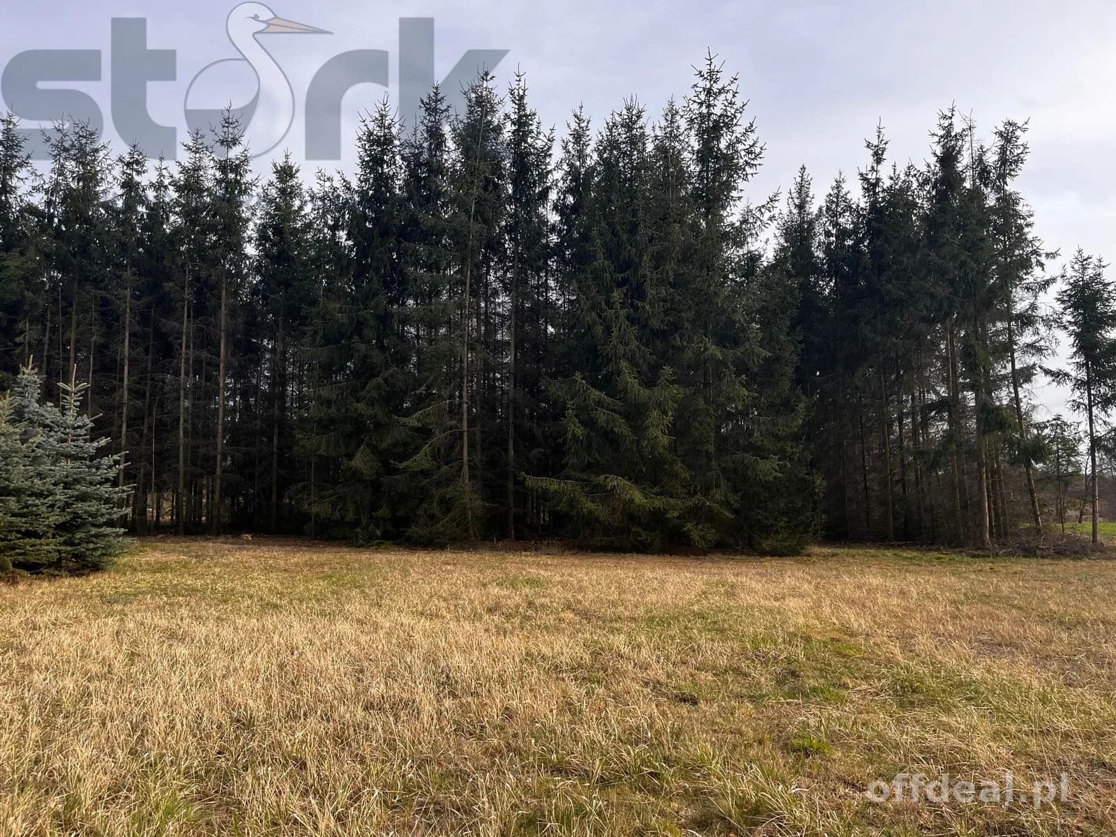 plot for sale in Mszczonów | 1,800 m²