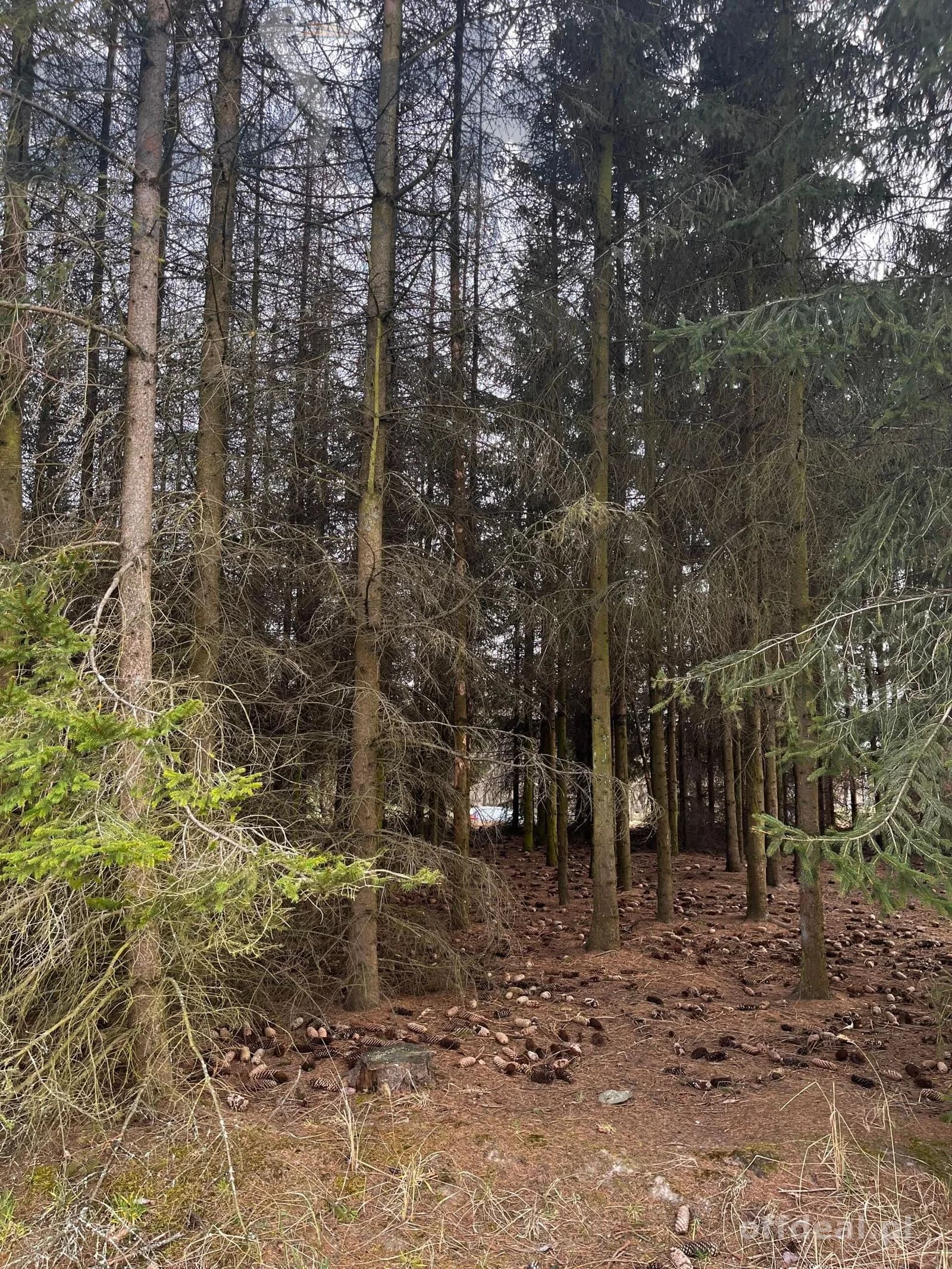 plot for sale in Mszczonów | 1,800 m²