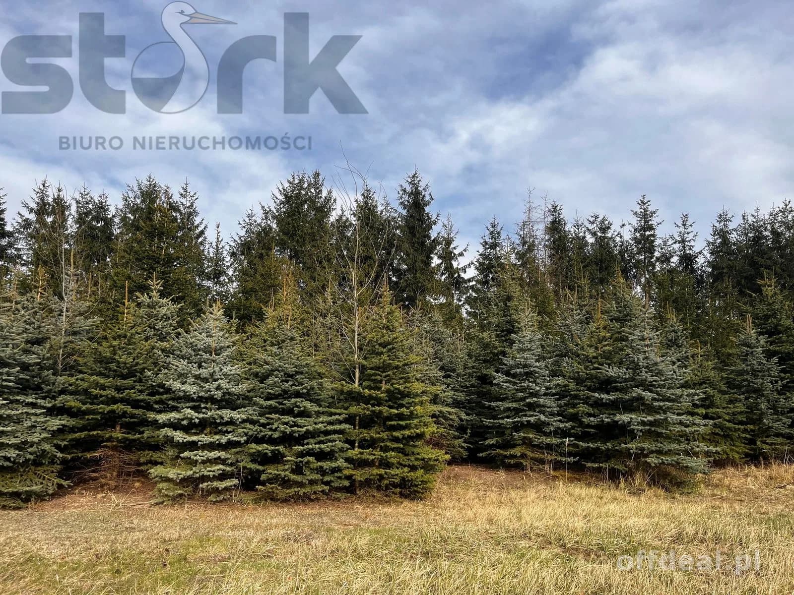 plot for sale in Mszczonów | 1,800 m²