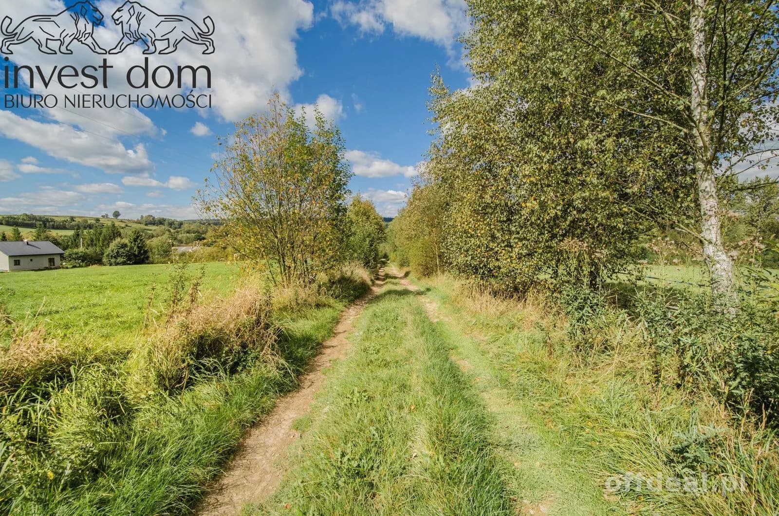 terrain à vendre à Gładyszów | 15 900 m²