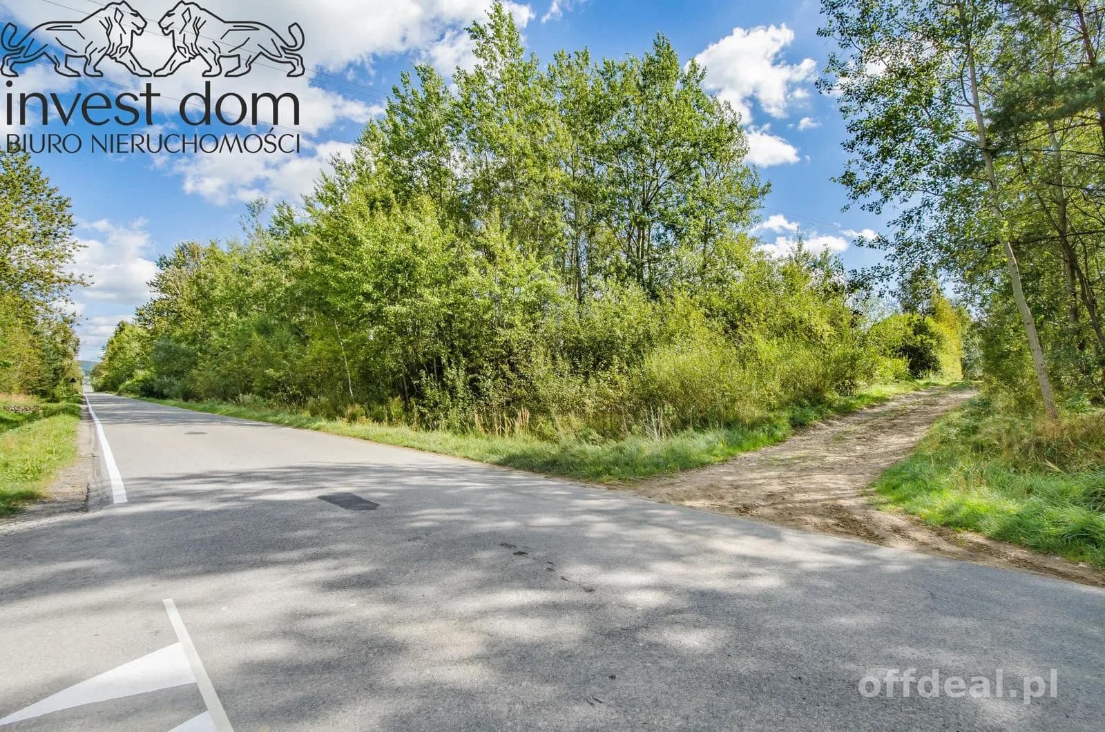 terrain à vendre à Gładyszów | 15 900 m²