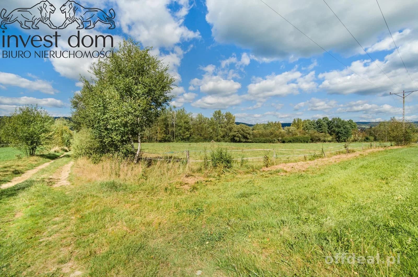 terrain à vendre à Gładyszów | 15 900 m²