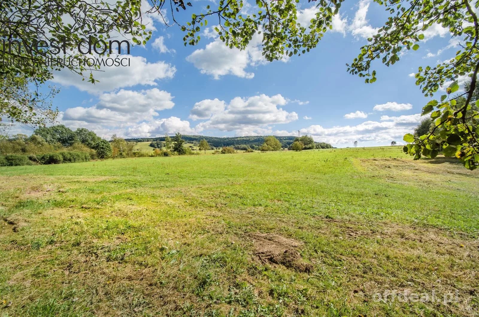 terrain à vendre à Gładyszów | 15 900 m²