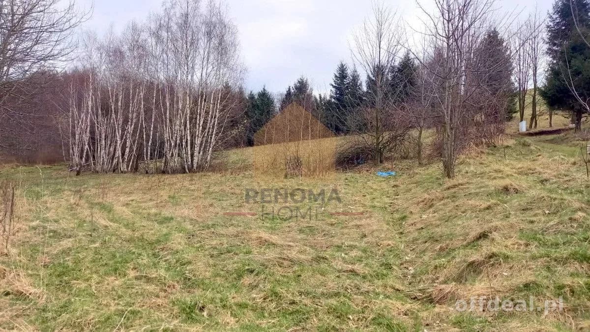Zacisznie z pięknym widokiem !
