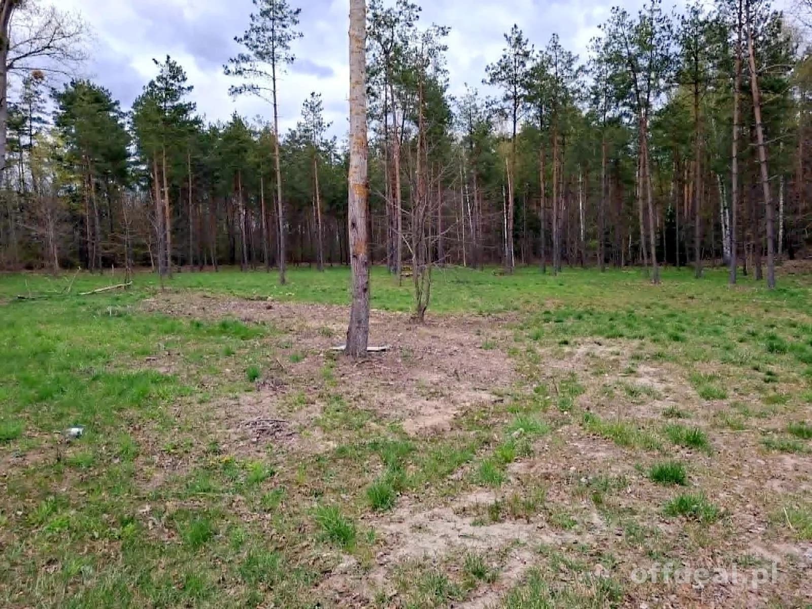 plot for sale in Rydzewo | 1,424 m²