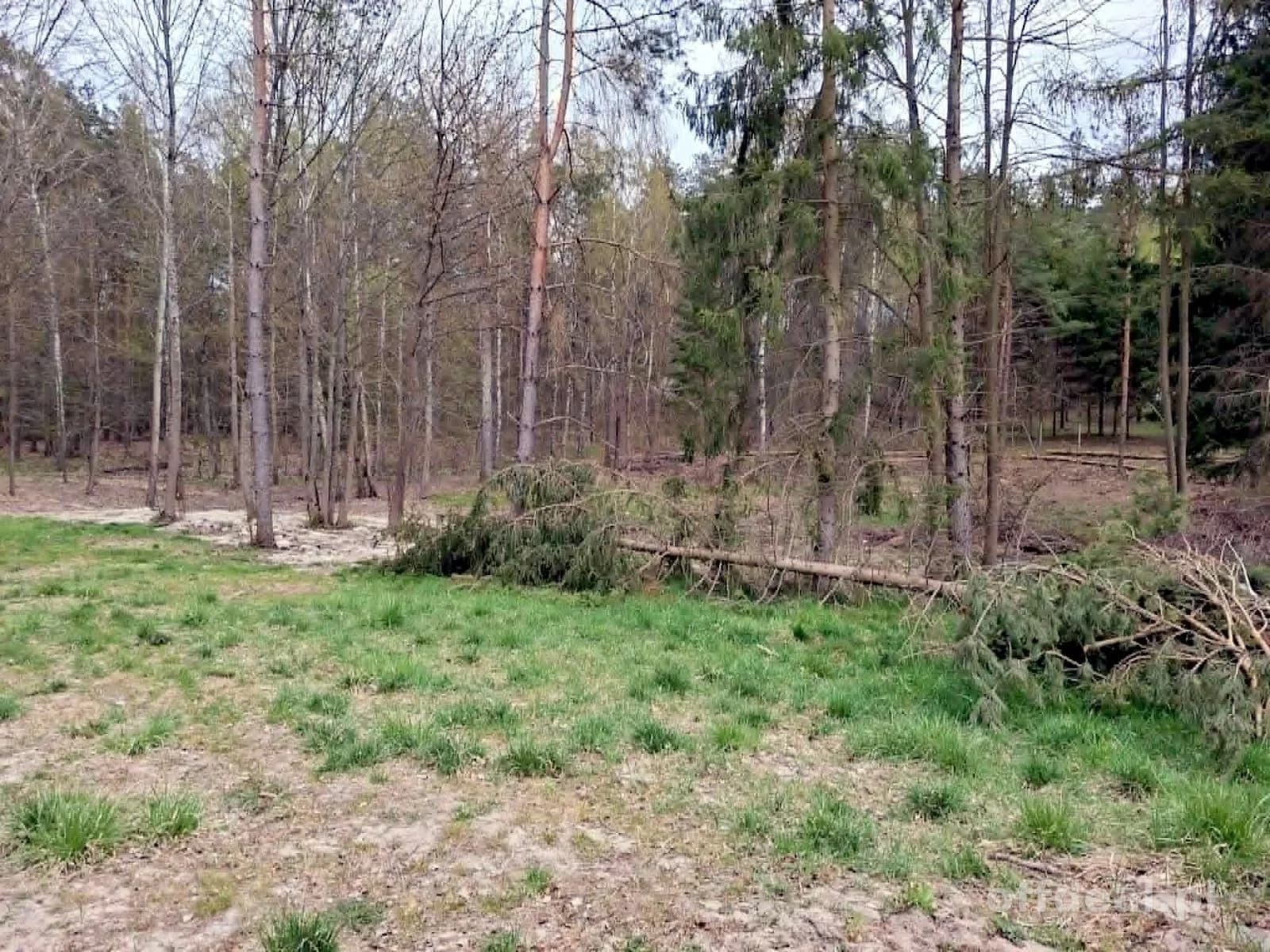 plot for sale in Rydzewo | 1,424 m²