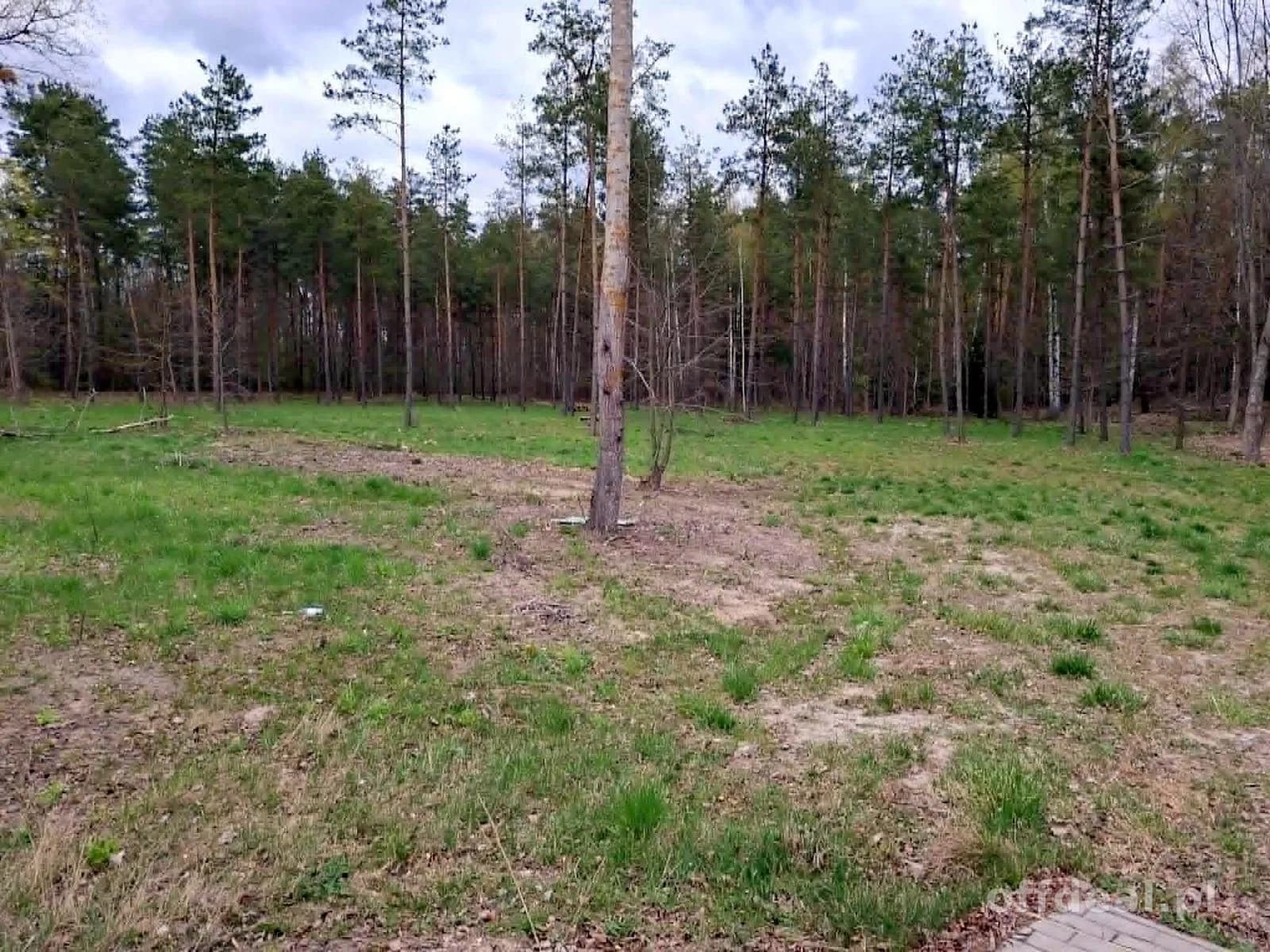 plot for sale in Rydzewo | 1,424 m²