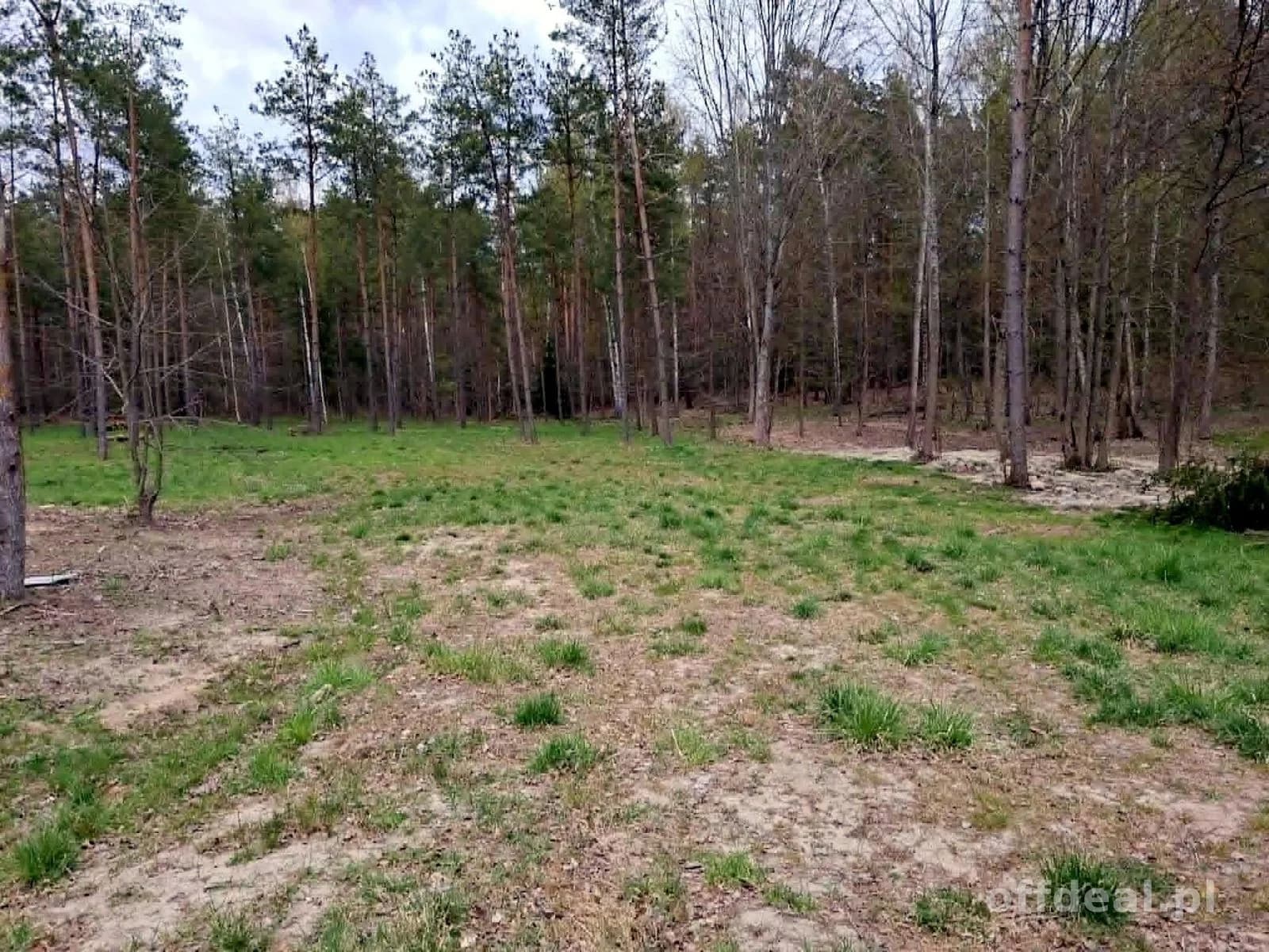 plot for sale in Rydzewo | 1,424 m²