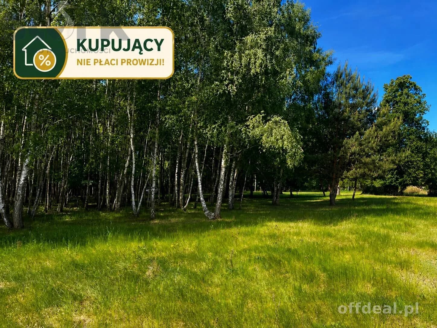 plot for sale in Wola Szydłowiecka | 25,454 m²