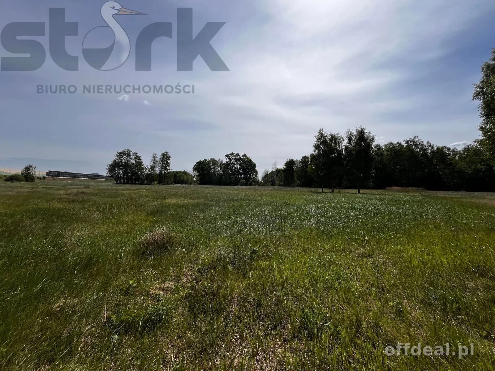 plot for sale in Wola Szydłowiecka | 25,454 m²