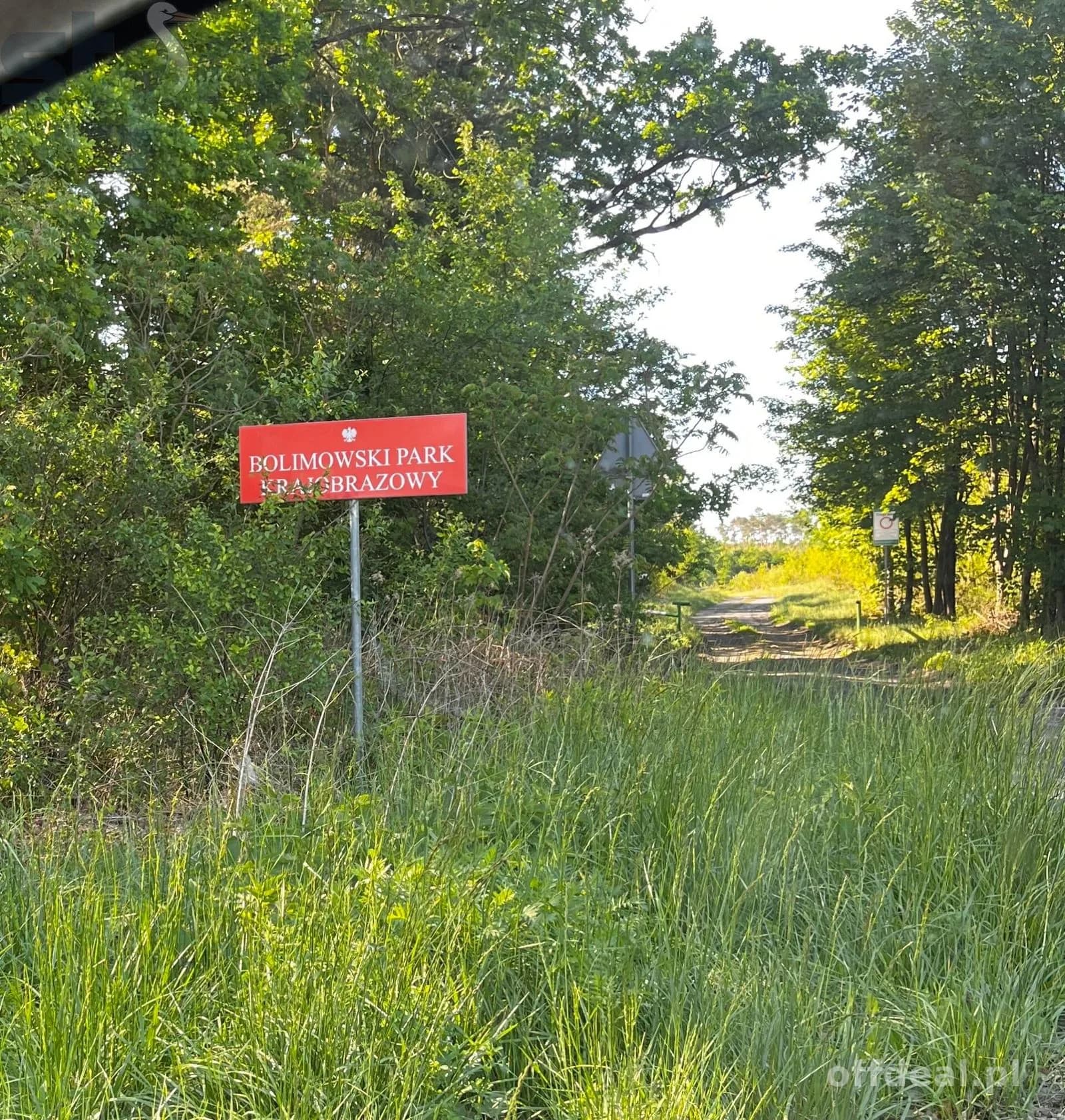 plot for sale in Wola Szydłowiecka | 25,454 m²