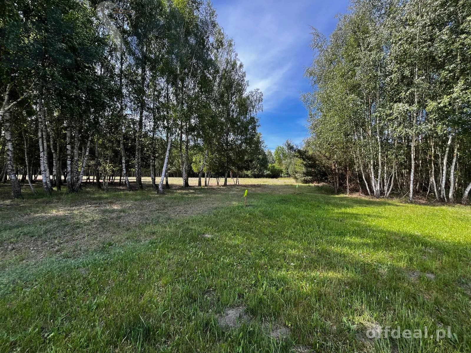 plot for sale in Wola Szydłowiecka | 25,454 m²