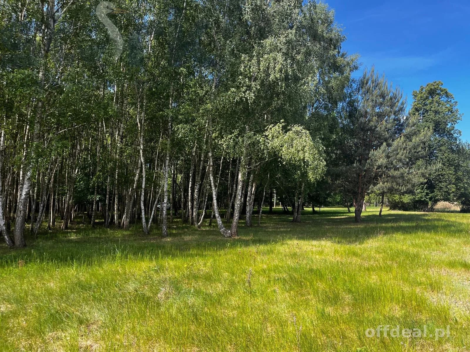 plot for sale in Wola Szydłowiecka | 25,454 m²