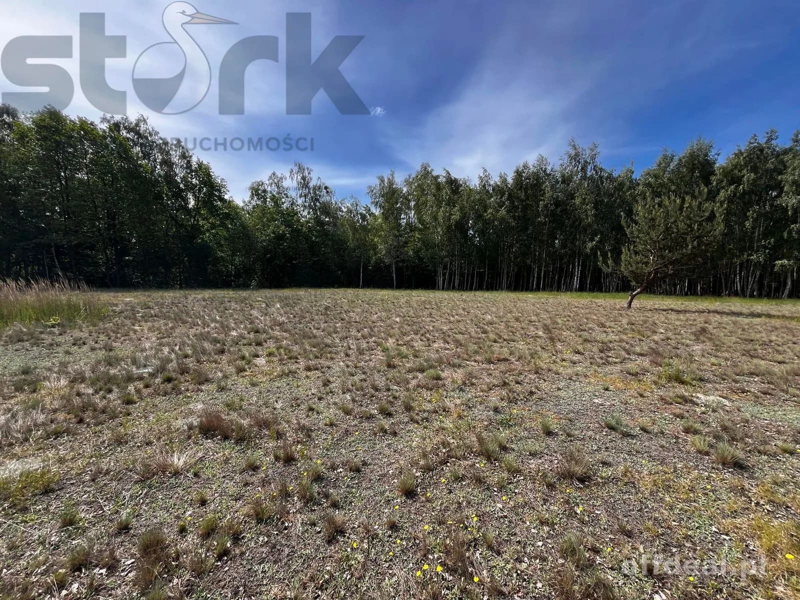 plot for sale in Wola Szydłowiecka | 25,454 m²