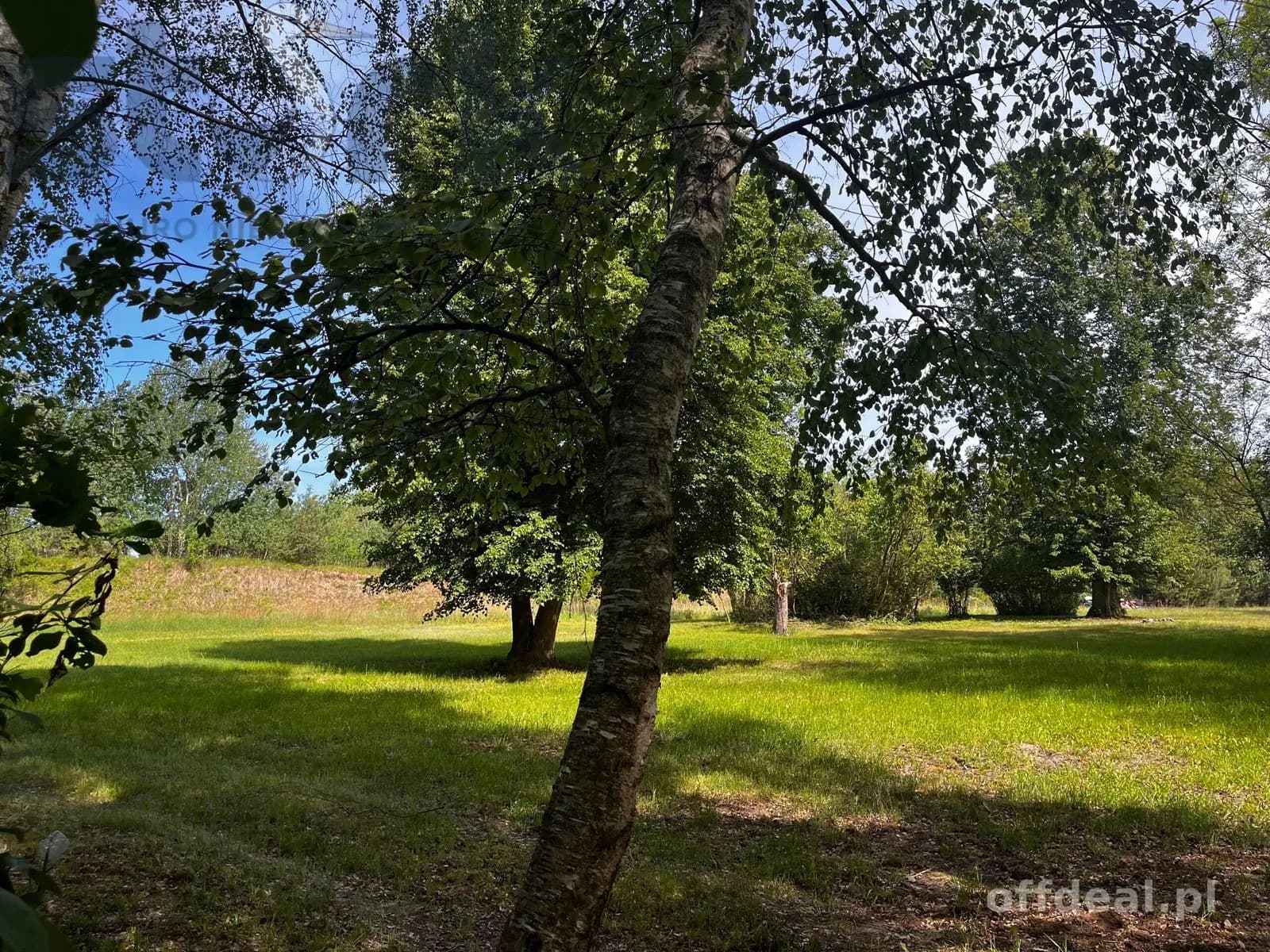 plot for sale in Wola Szydłowiecka | 25,454 m²