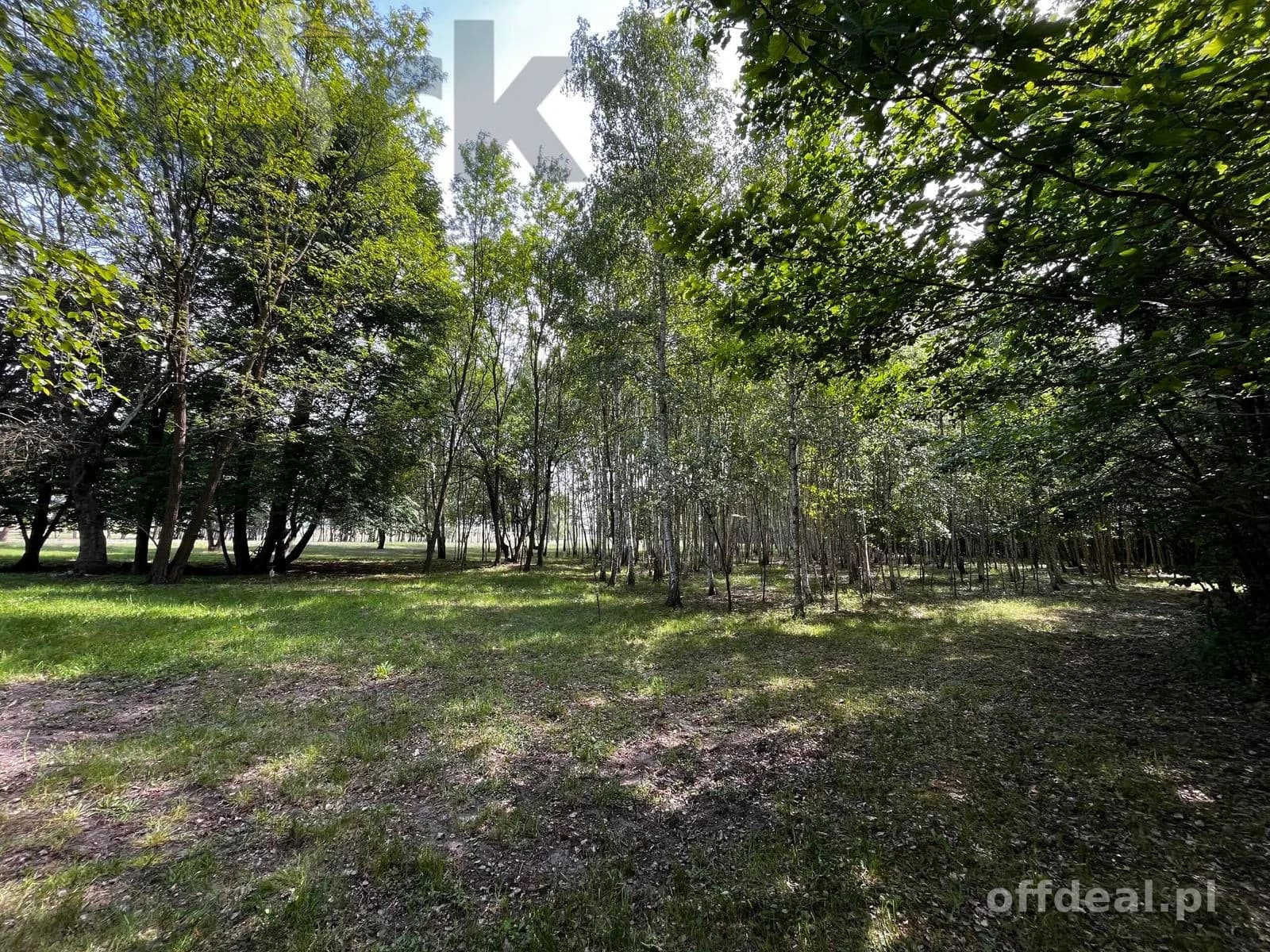 plot for sale in Wola Szydłowiecka | 25,454 m²
