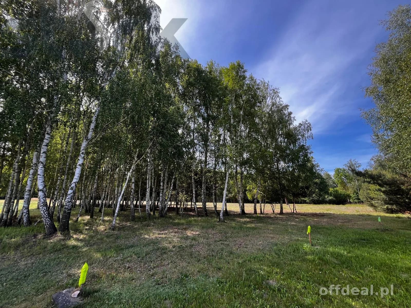 plot for sale in Wola Szydłowiecka | 25,454 m²