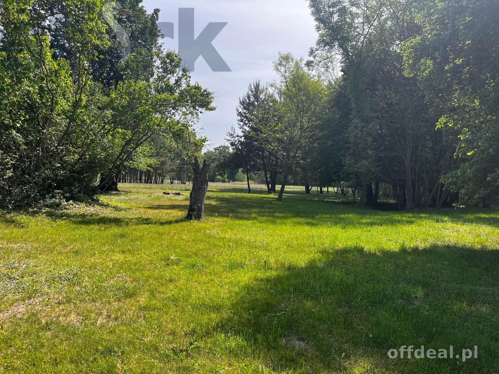 plot for sale in Wola Szydłowiecka | 25,454 m²