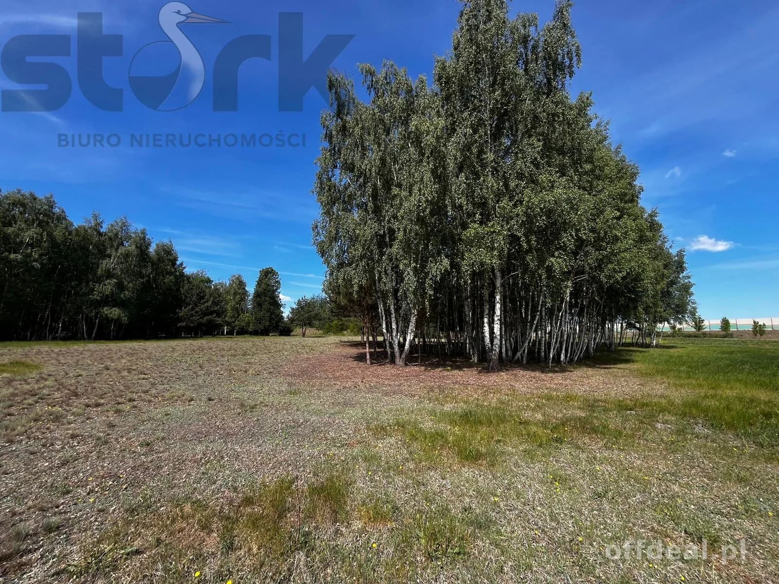 plot for sale in Wola Szydłowiecka | 25,454 m²