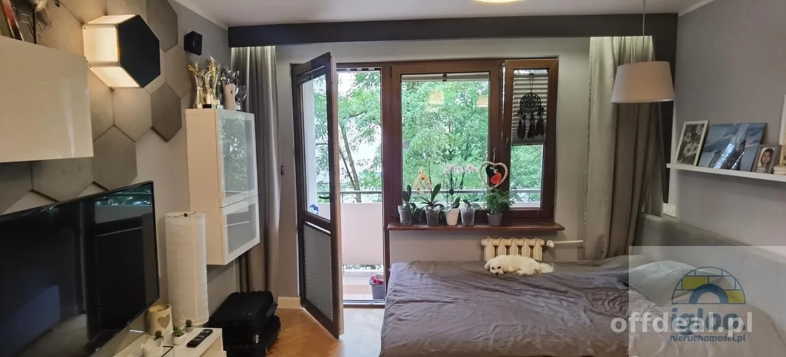 appartement à vendre à Kielce | 2 pièces | 51 m²