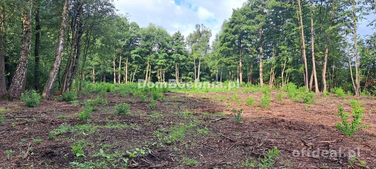 Bratucice 56ar działka budowlana Rzezawa