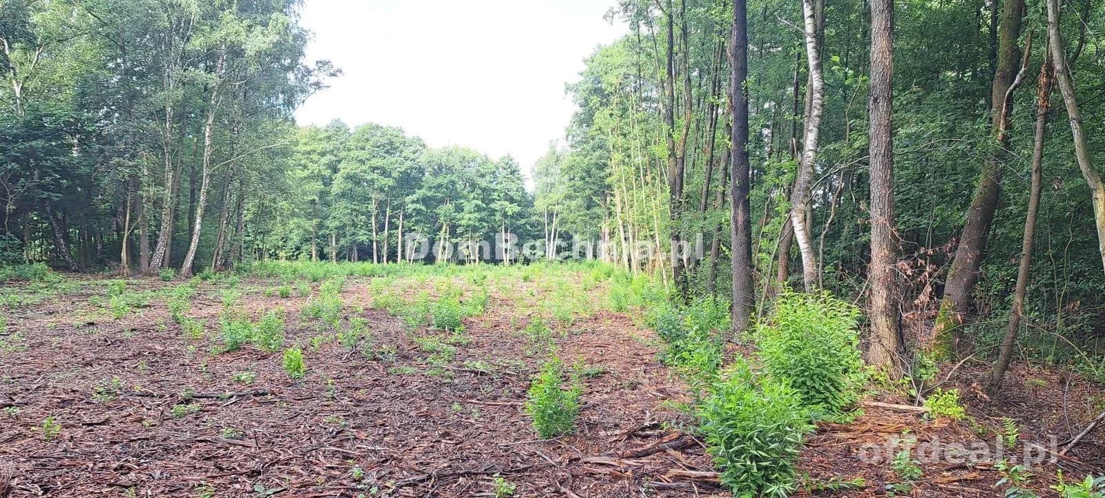 Bratucice 56ar działka budowlana Rzezawa