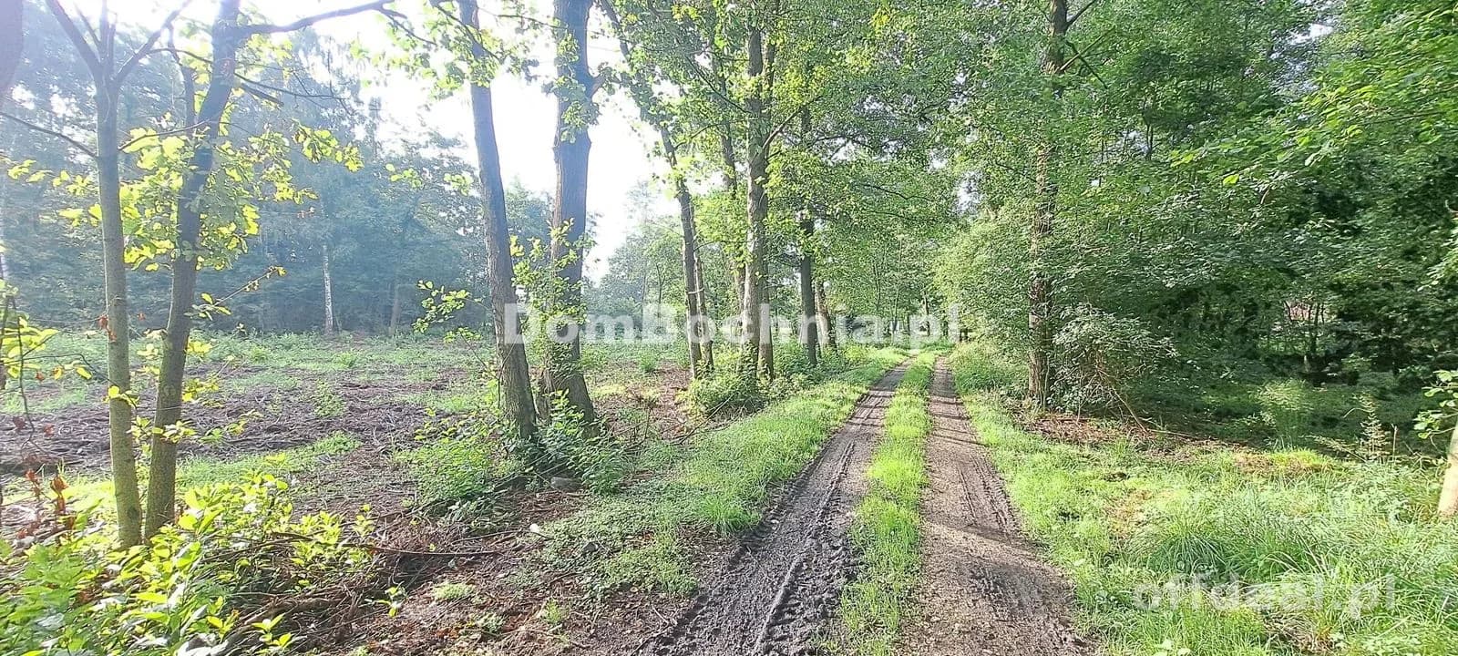 Bratucice 56ar działka budowlana Rzezawa