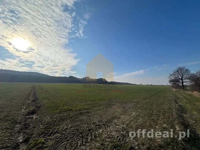terrain à vendre à Burkatów | 45 400 m²