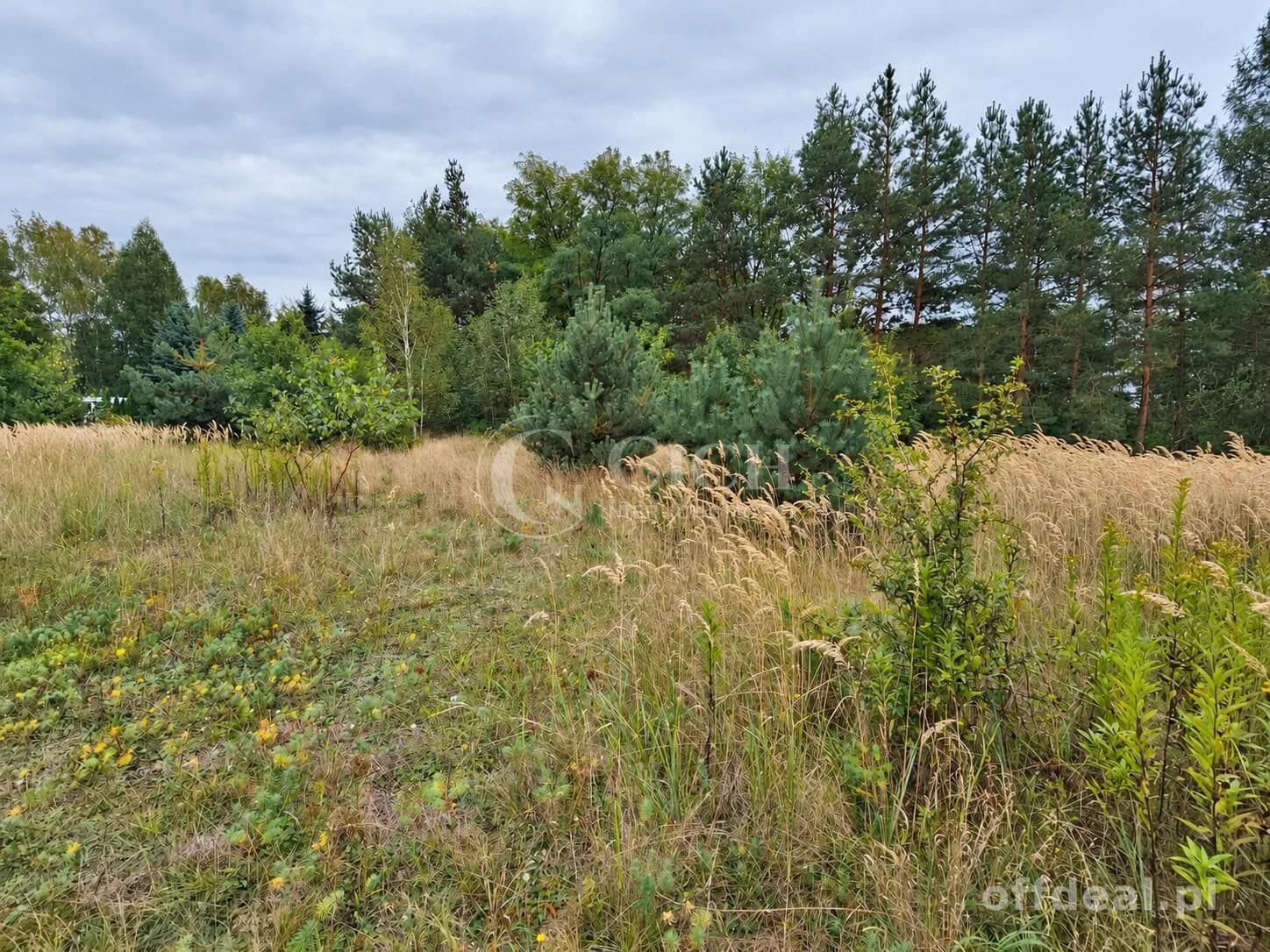 Zdjęcie 8: Działka, 1729 m², Nowe Żukowice