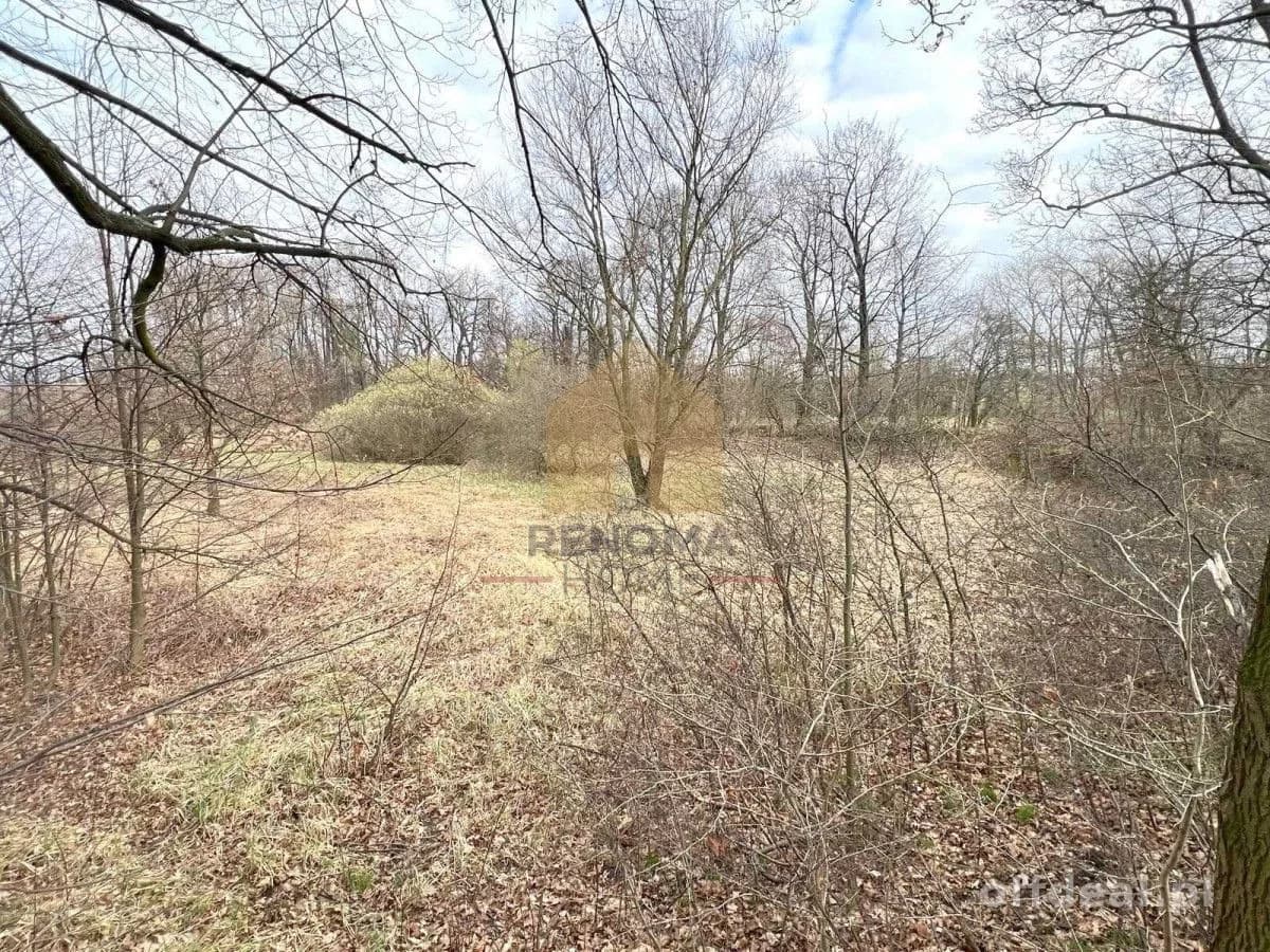 terrain à vendre à Tuszyn | 6 723 m²