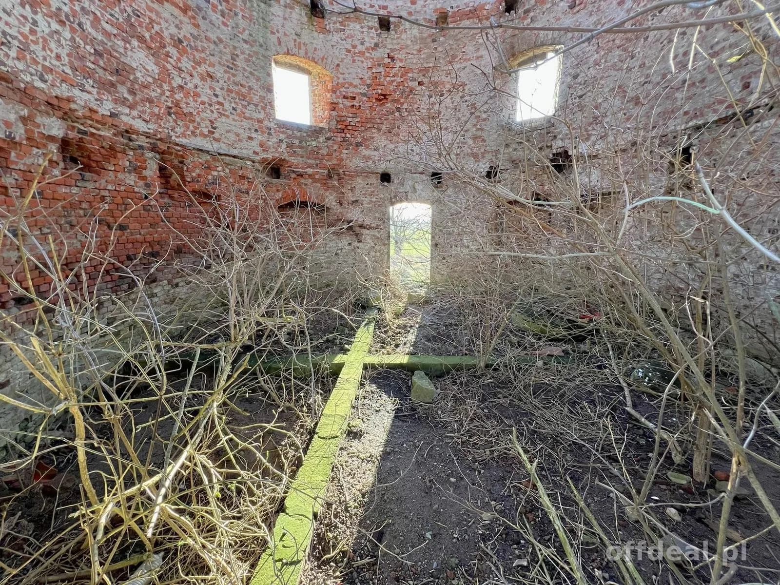 plot for sale in Czernin | 8,100 m²