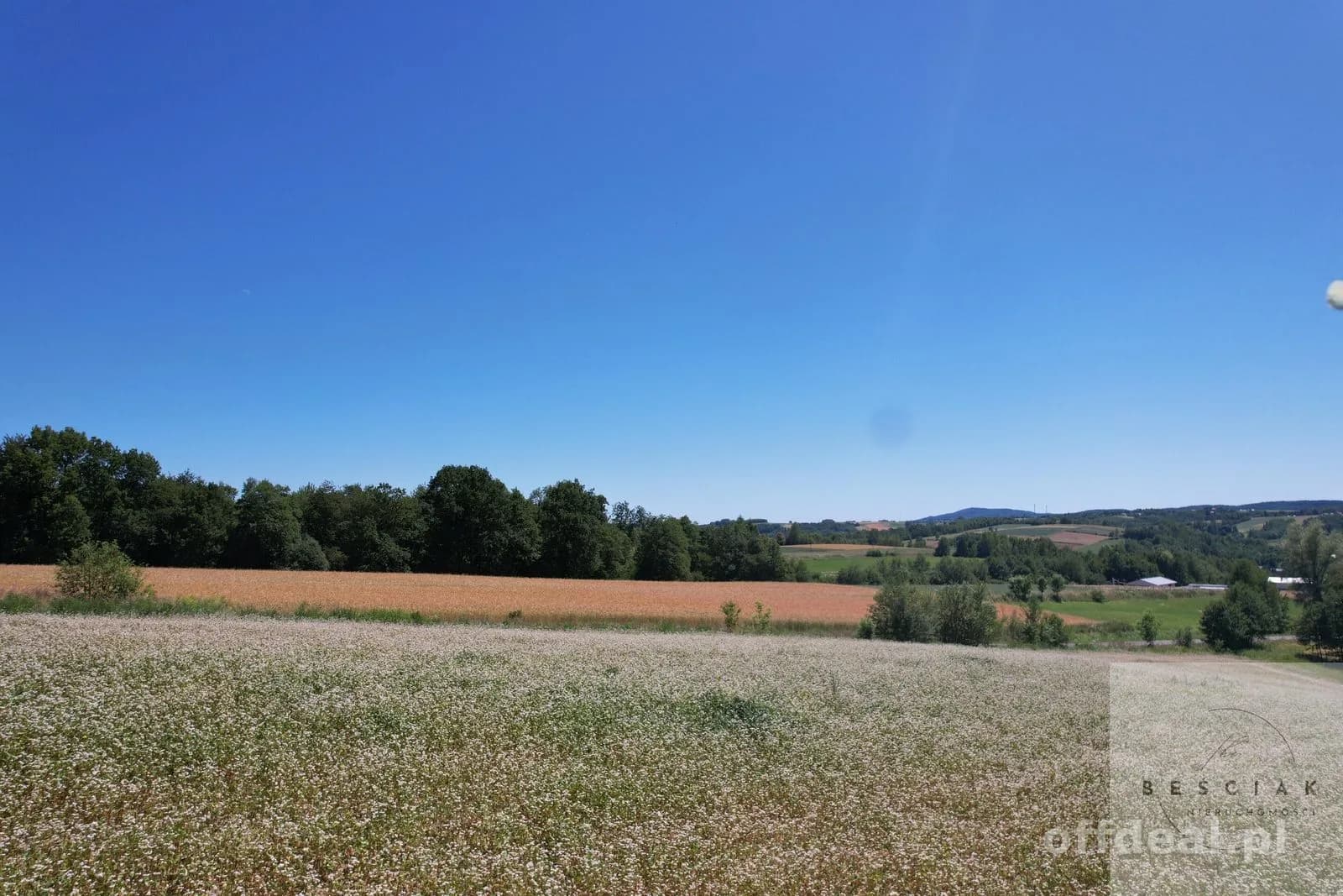 plot for sale in Lubcza | 15,800 m²