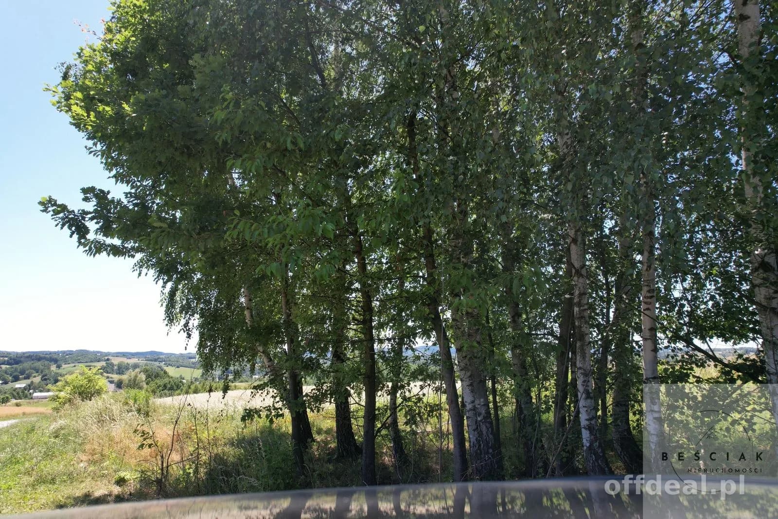 plot for sale in Lubcza | 15,800 m²