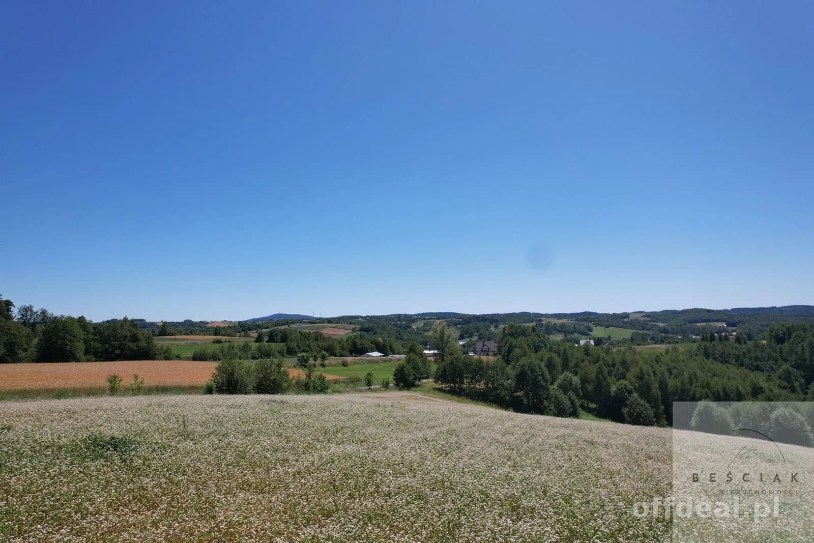 plot for sale in Lubcza | 15,800 m²