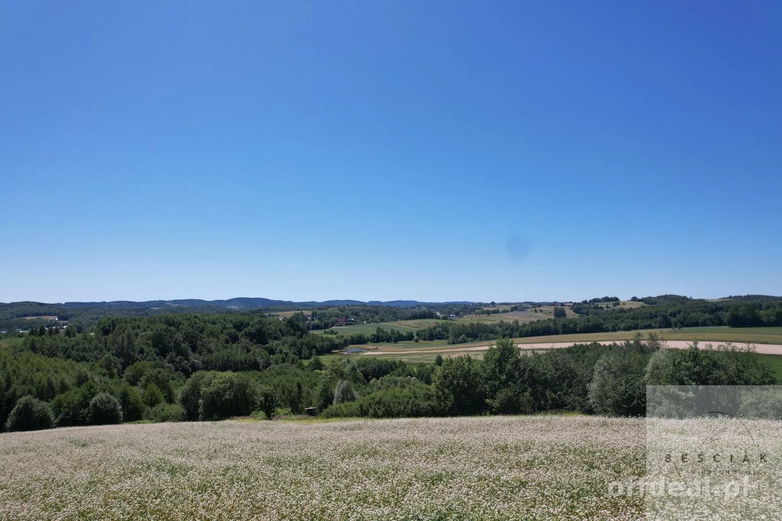 plot for sale in Lubcza | 15,800 m²