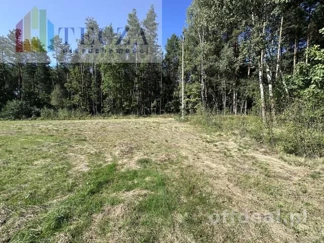 8 działek BUDOWALNYCH z wydanymi WZ,BORUCZA,gm.Strachówka