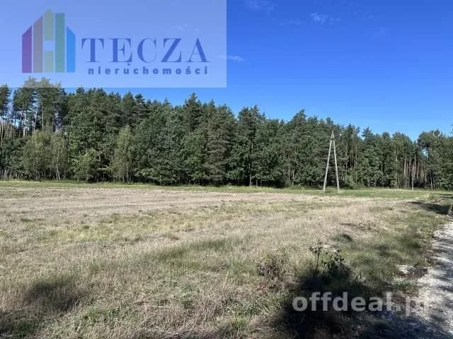 8 działek BUDOWALNYCH z wydanymi WZ,BORUCZA,gm.Strachówka