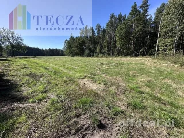 8 działek BUDOWALNYCH z wydanymi WZ,BORUCZA,gm.Strachówka