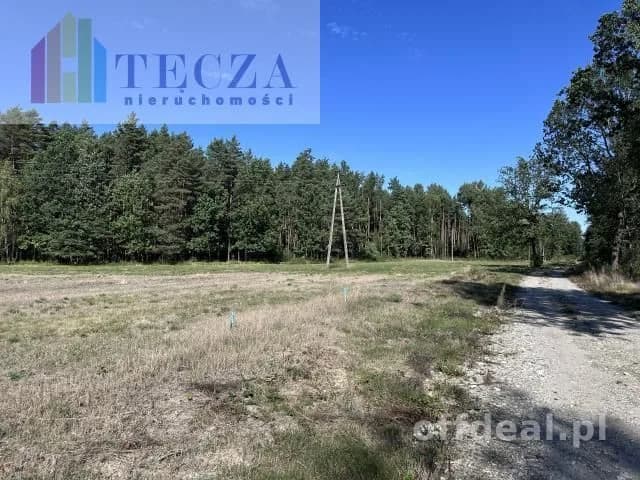 8 działek BUDOWALNYCH z wydanymi WZ,BORUCZA,gm.Strachówka
