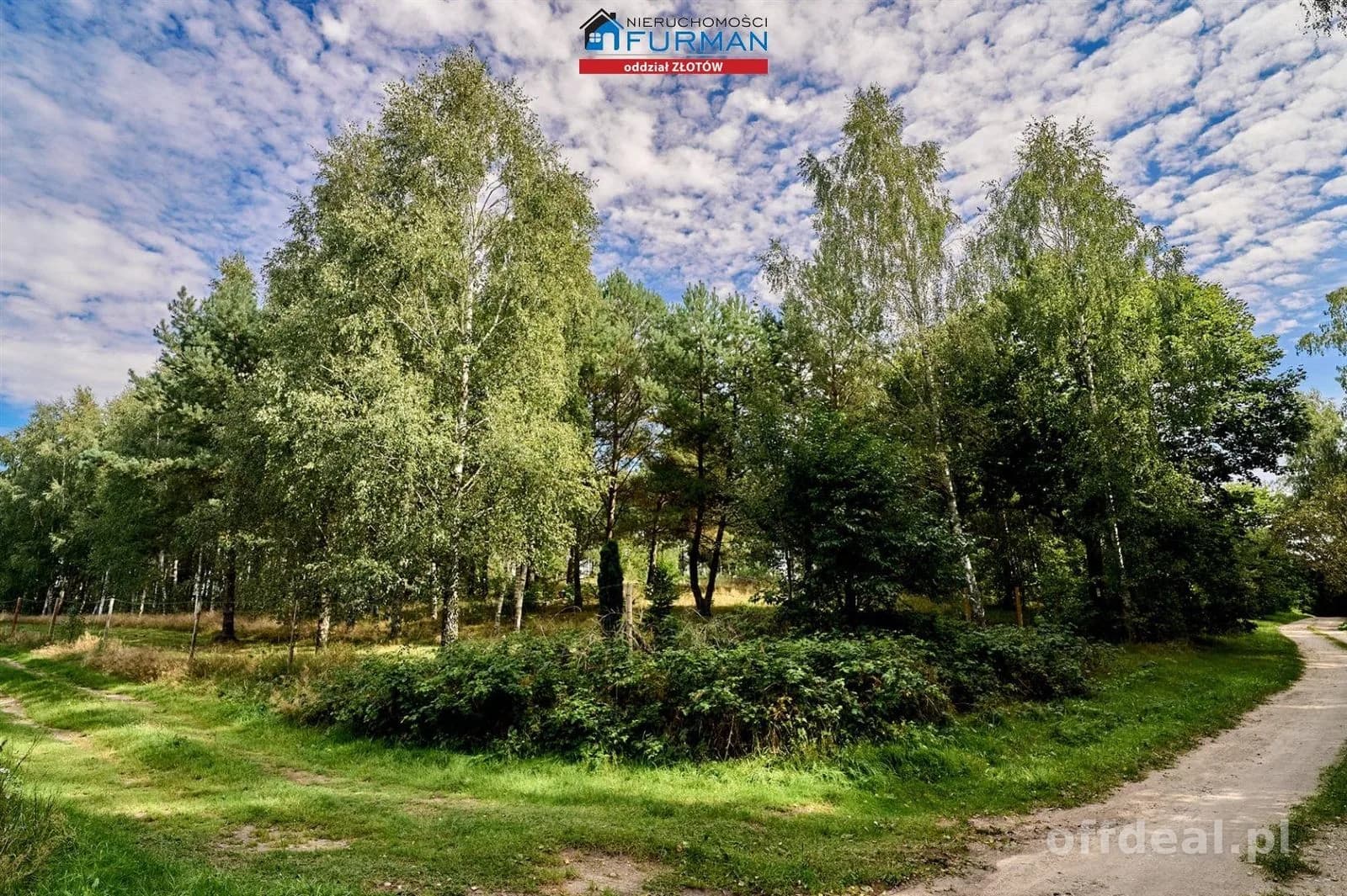 Photo 2: Plot, 12266 m², Brokęcino