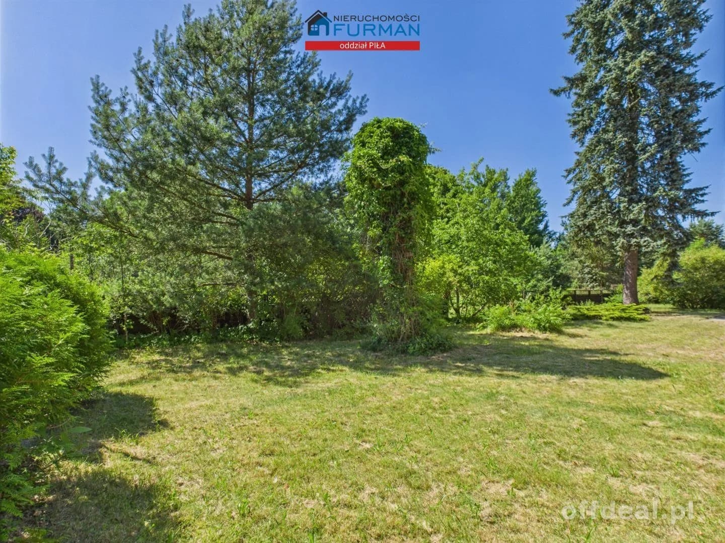 Płytnica - dom 3 lokalowy blisko rzeki
