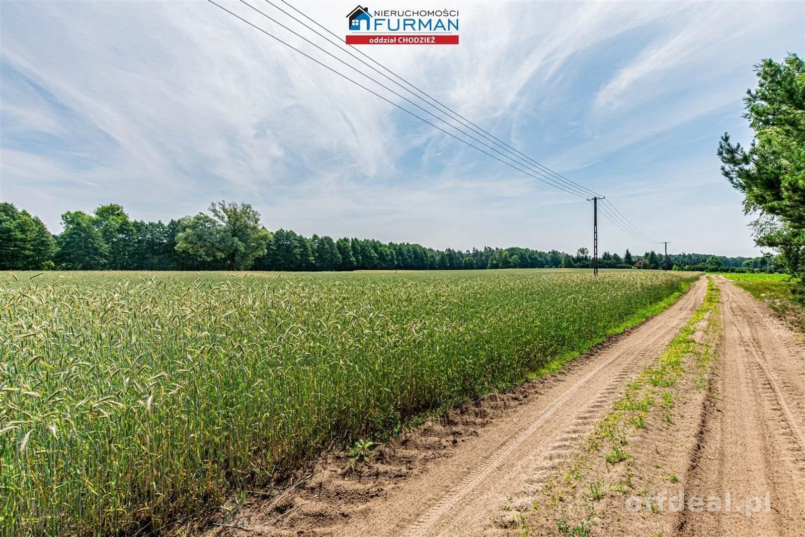 terrain à vendre à Wyszynki | 1 200 m²