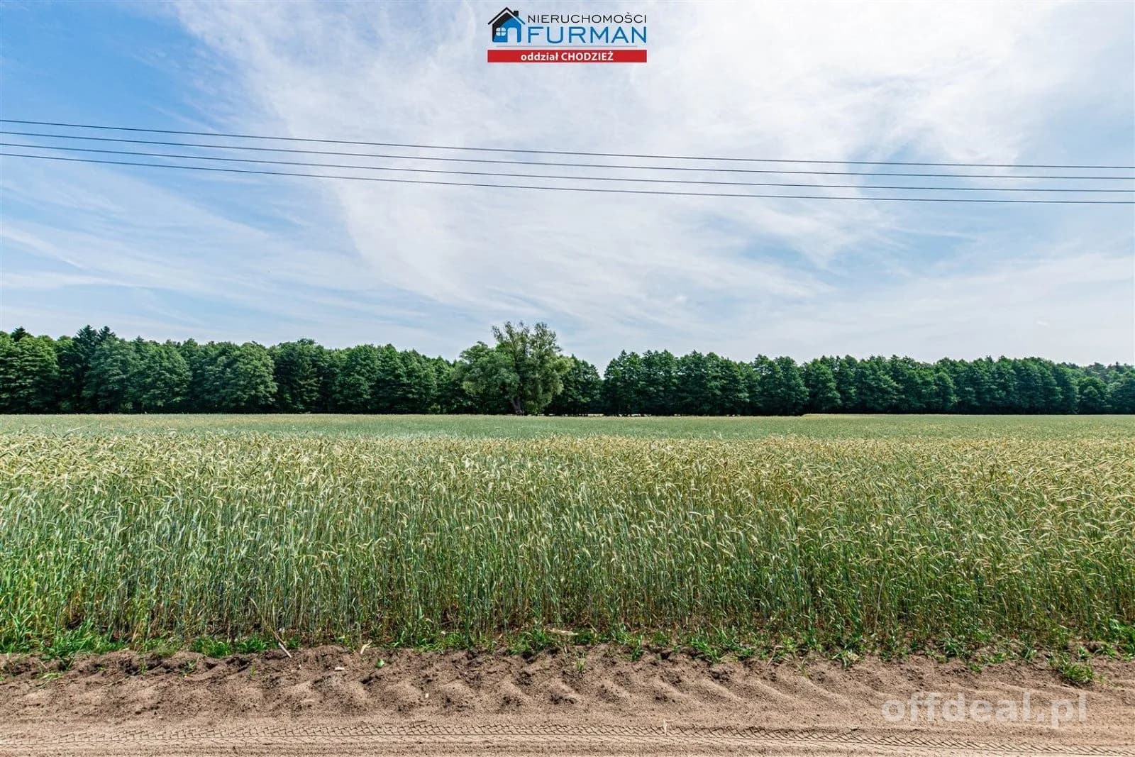 terrain à vendre à Wyszynki | 1 200 m²
