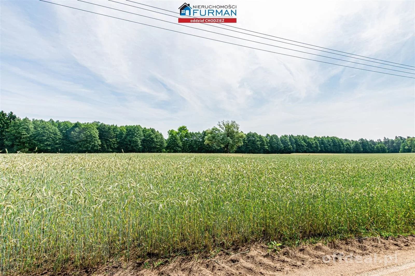 terrain à vendre à Wyszynki | 1 200 m²