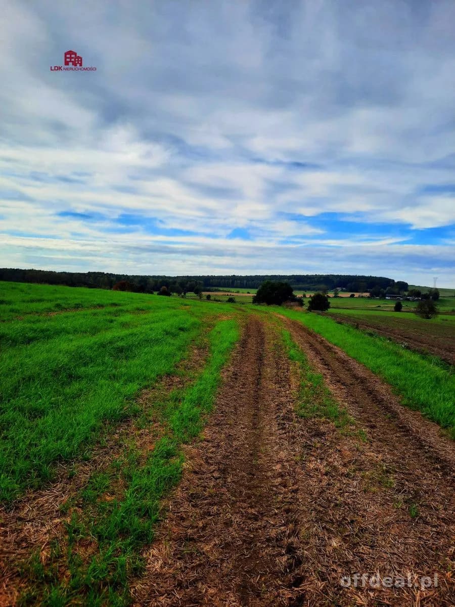 Działka inwestycyjna idealna pod zabudowę i usługi