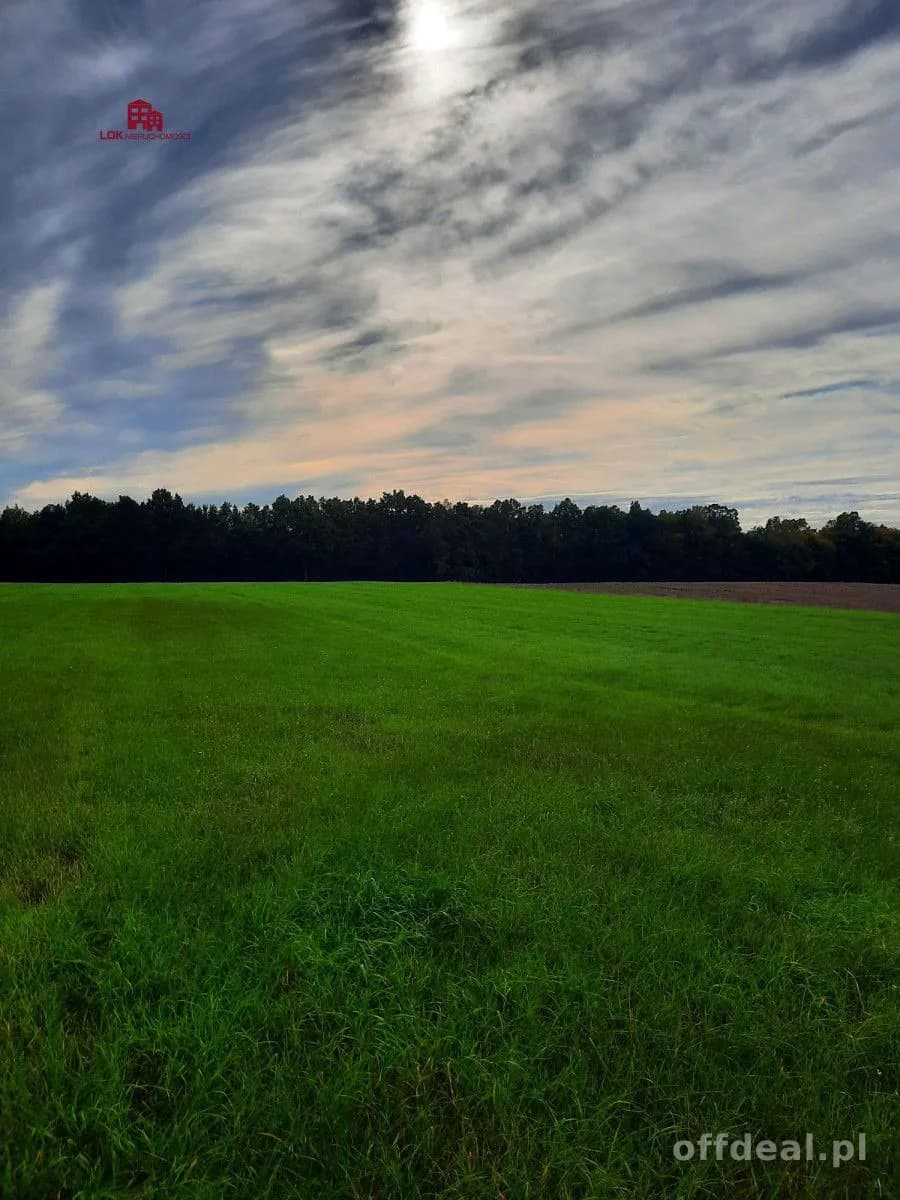Działka inwestycyjna idealna pod zabudowę i usługi