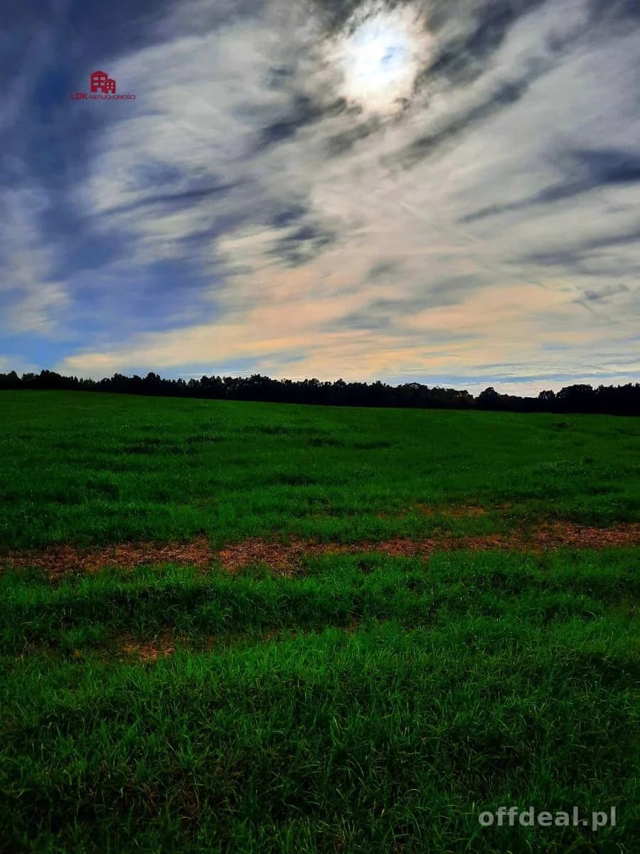Działka inwestycyjna idealna pod zabudowę i usługi