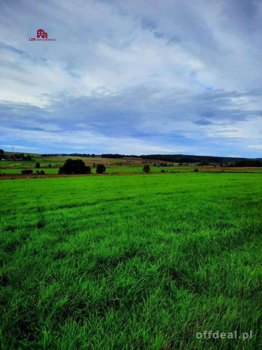 Działka inwestycyjna idealna pod zabudowę i usługi