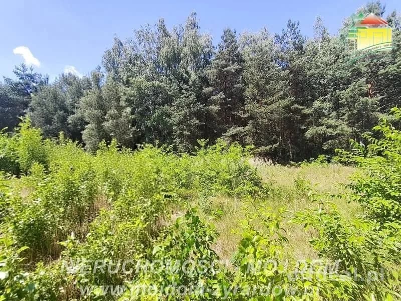 Grundstück zum Verkauf in Budy Zaklasztorne | 1.200 m²