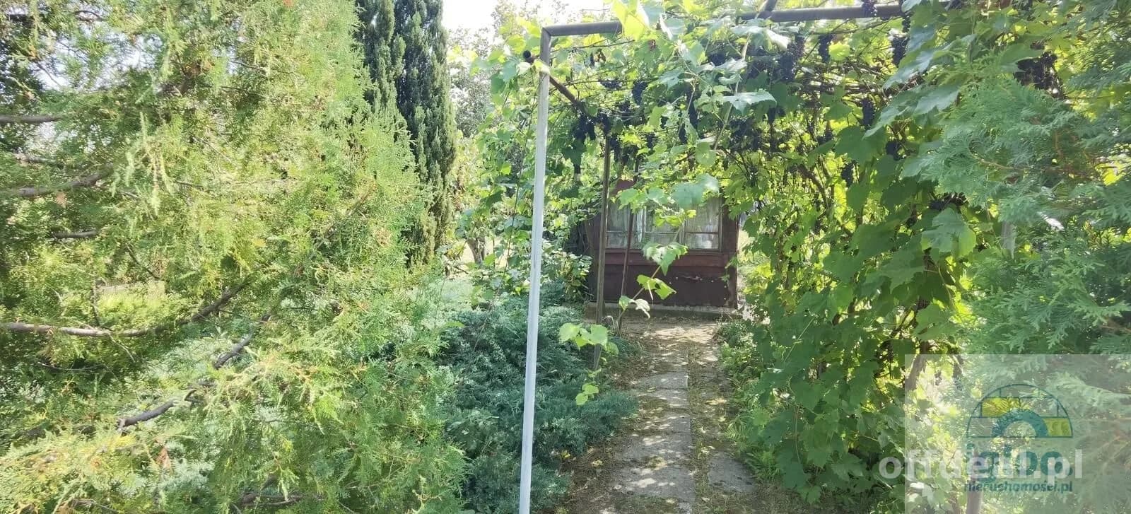 Duża działka rod Malina os.Ksm